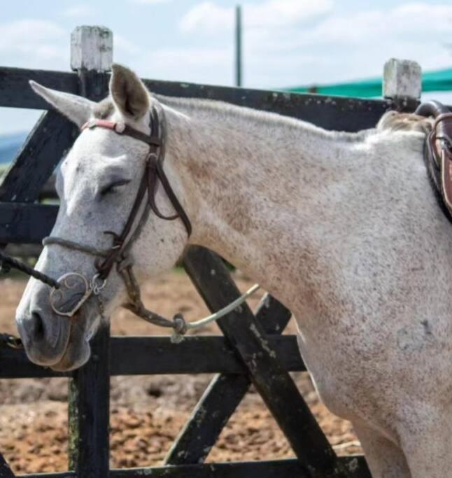 Flat Fazenda Monte Castelo Apartman Bezerros Kültér fotó